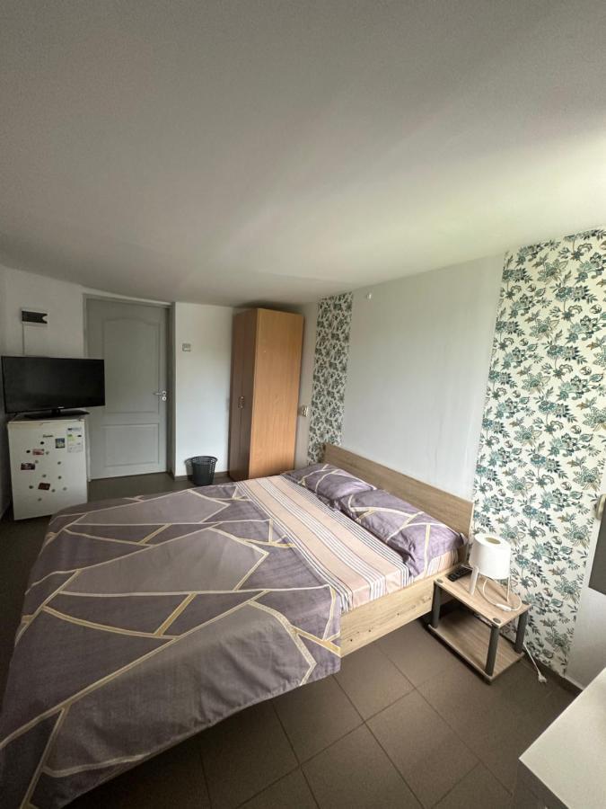 Camere De Inchiriat David Casa David Corbu Buitenkant foto
